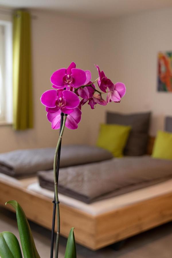 Apartment Alte Raiffeisenkasse Rothenburg Ob Der Tauber Zewnętrze zdjęcie